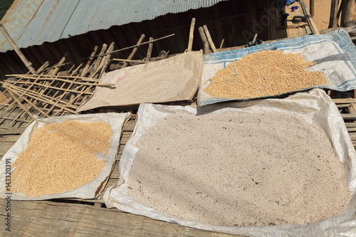 Rice-soybeans sundrying on plastic mats. Ban Houay Phod-Phongsali province-Laos. 3709 photo