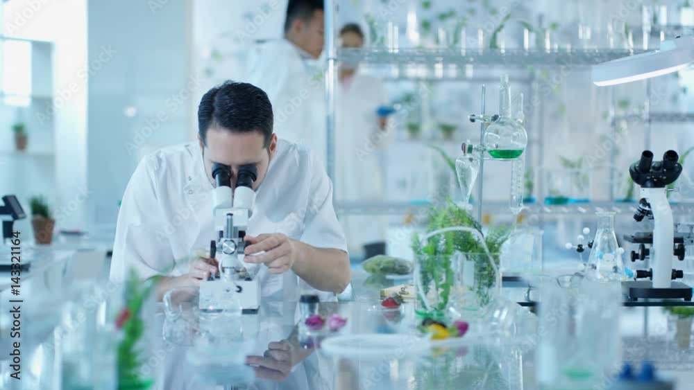 Research scientists analyzing plant life in laboratory & discussing work Research scientists analyzing plant life in laboratory & discussing work