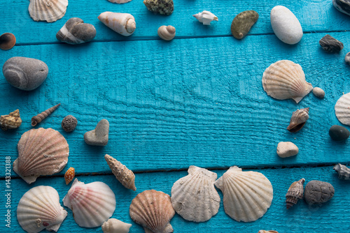 Seashells on a blue wooden background