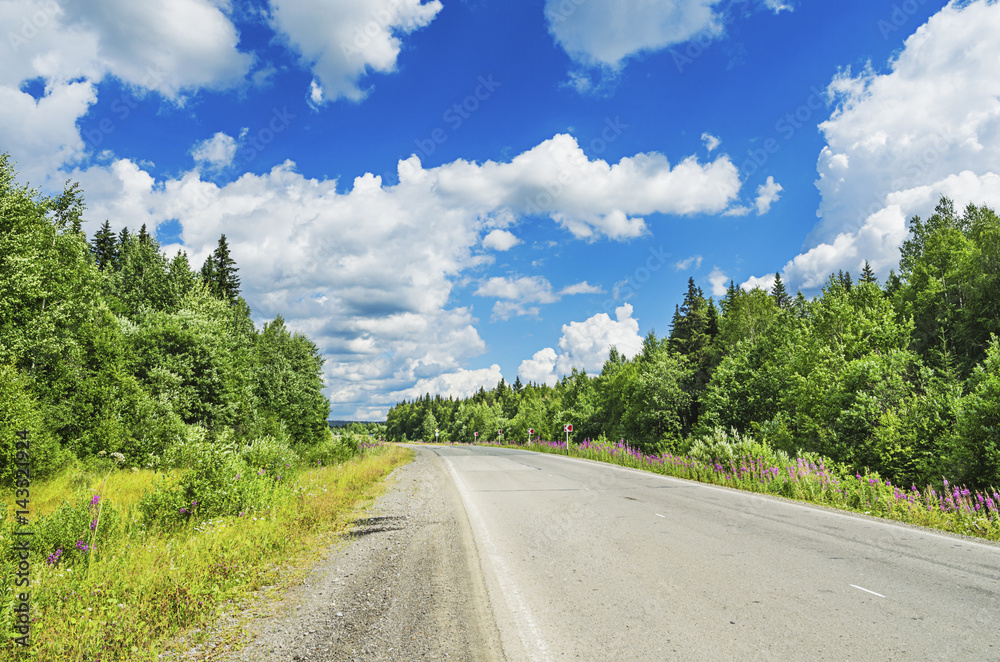 Naklejka premium Beautiful summer landscape with road