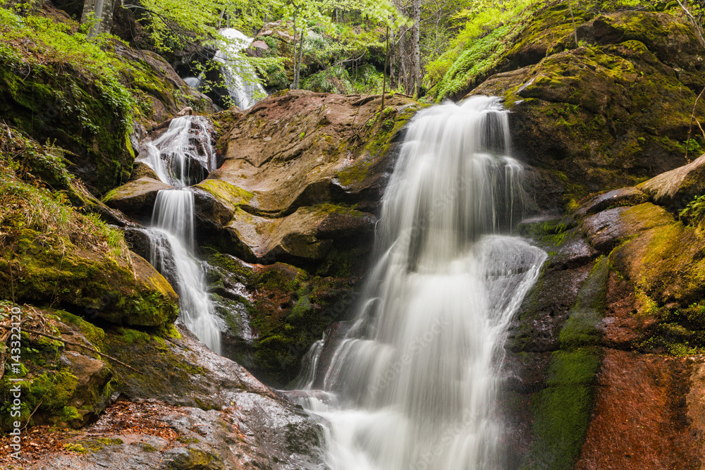 Spring waterfall streams in the forest Spring waterfall streams in the forest
