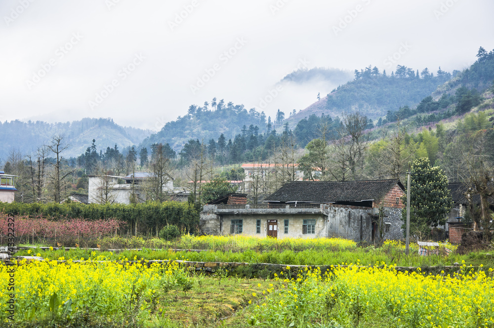 The beautiful countryside scenery in spring The beautiful countryside scenery in spring