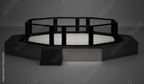 фотография Oktagon UFC Bellator Ring MMA pugliato arti marziali miste