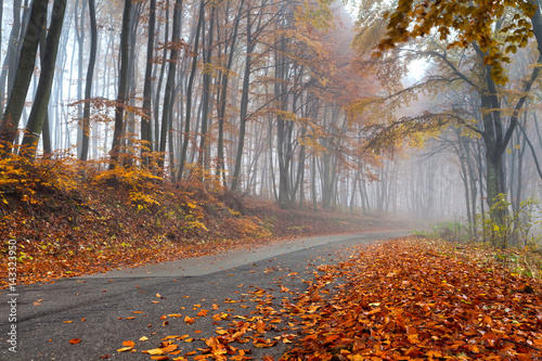 Road trogh a mist autumn forest photo