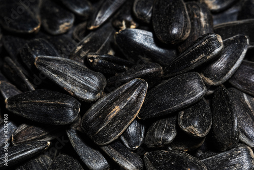 Wallpaper Mural Black sunflower seeds macro - selective focus Torontodigital.ca