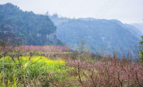 The colorful countryside scenery in spring