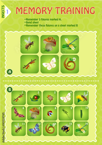 Memory game children Insects