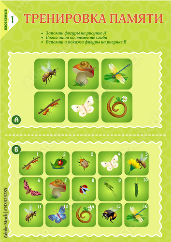 Memory game children Insects