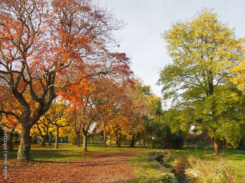 Arboretum de Paris en automne