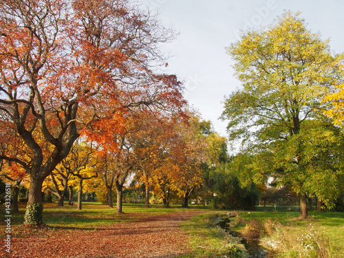 Arboretum de Paris en automne