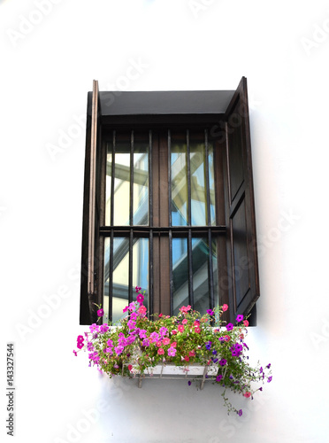 Classic window with Petunia pot on white wall