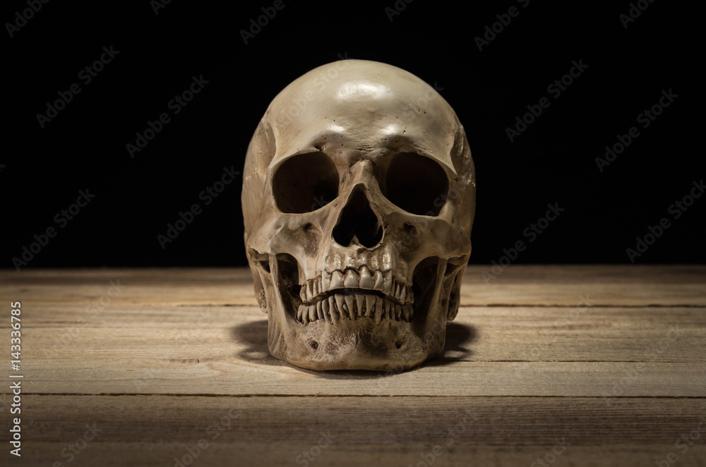 Skull