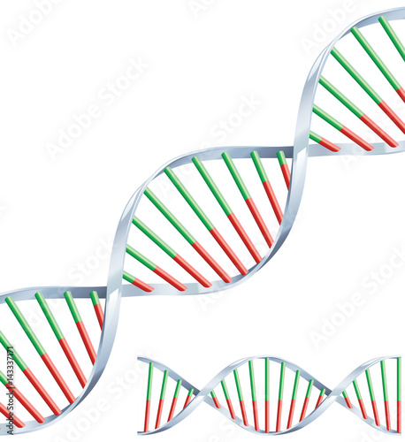 DNA