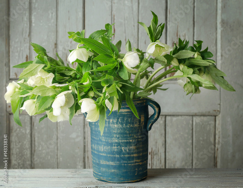 Hellebore flowers (helleborus orientalis) in blue rustic vase photo