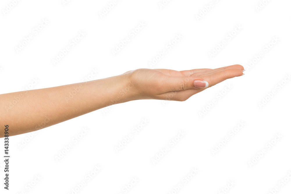 Woman holding palm open isolated on white Woman holding palm open isolated on white