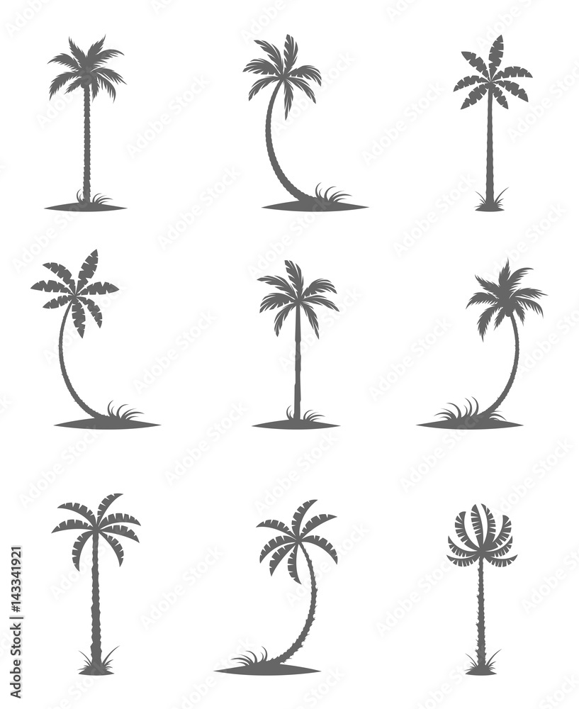 Naklejka premium Black silhouettes of palm trees.