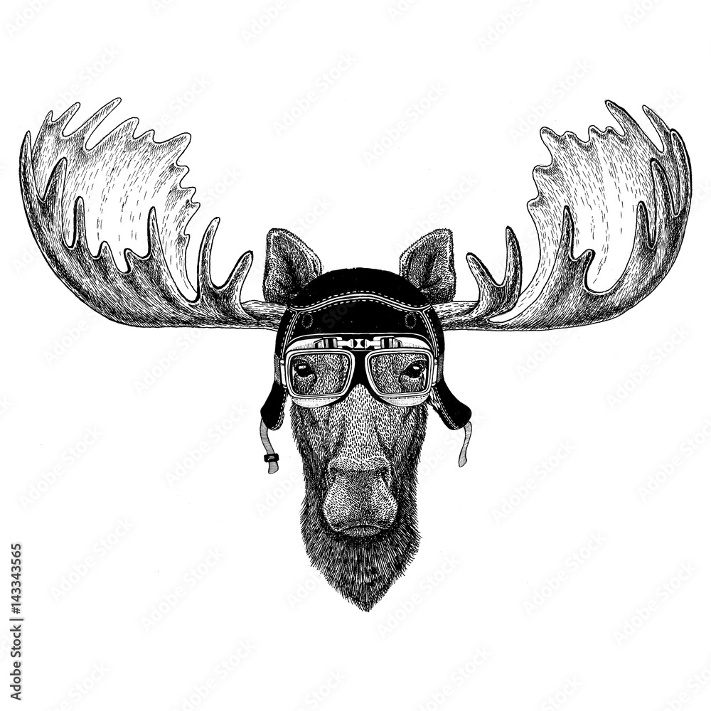 Fototapeta Vintage images of elk or moose for t-shirt design for motorcycle, bike, motorbike, scooter club, aero club