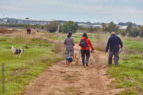 Ganey Aviv - 02 December 2016: Three friends walk with dogs in the field, near Ganey Aviv, Israel photo