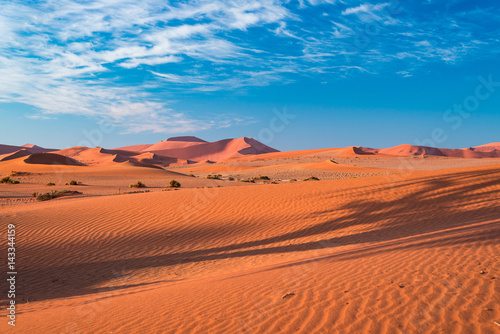 Sand dunes in the Namib desert at dawn, roadtrip in the wonderful Namib Naukluft National Park, travel destination in Namibia, Africa. Morning light, mist and fog.