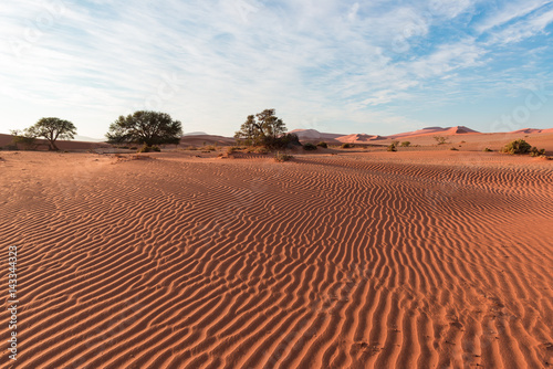 Sand dunes in the Namib desert at dawn, roadtrip in the wonderful Namib Naukluft National Park, travel destination in Namibia, Africa. Morning light, mist and fog.