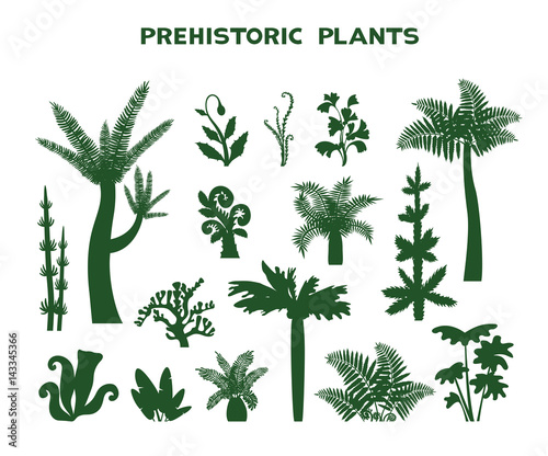 Set of prehistoric plants.