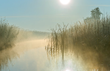 Wandcirkels Kantoor Mistige zonsopgang Wolgadelta Rusland  © vadim_petrakov
