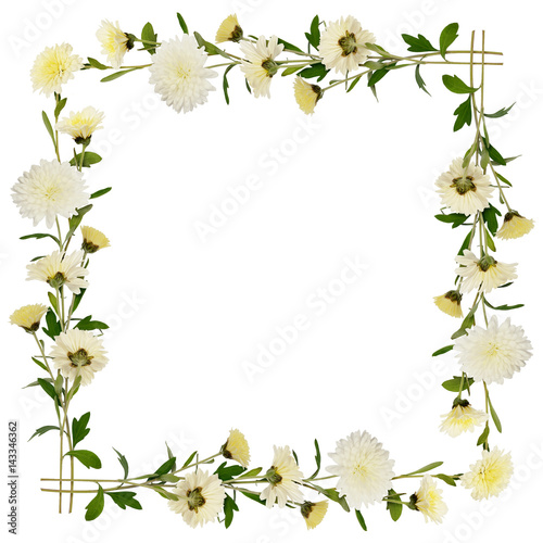 White chrysanthemum flowers and buds frame