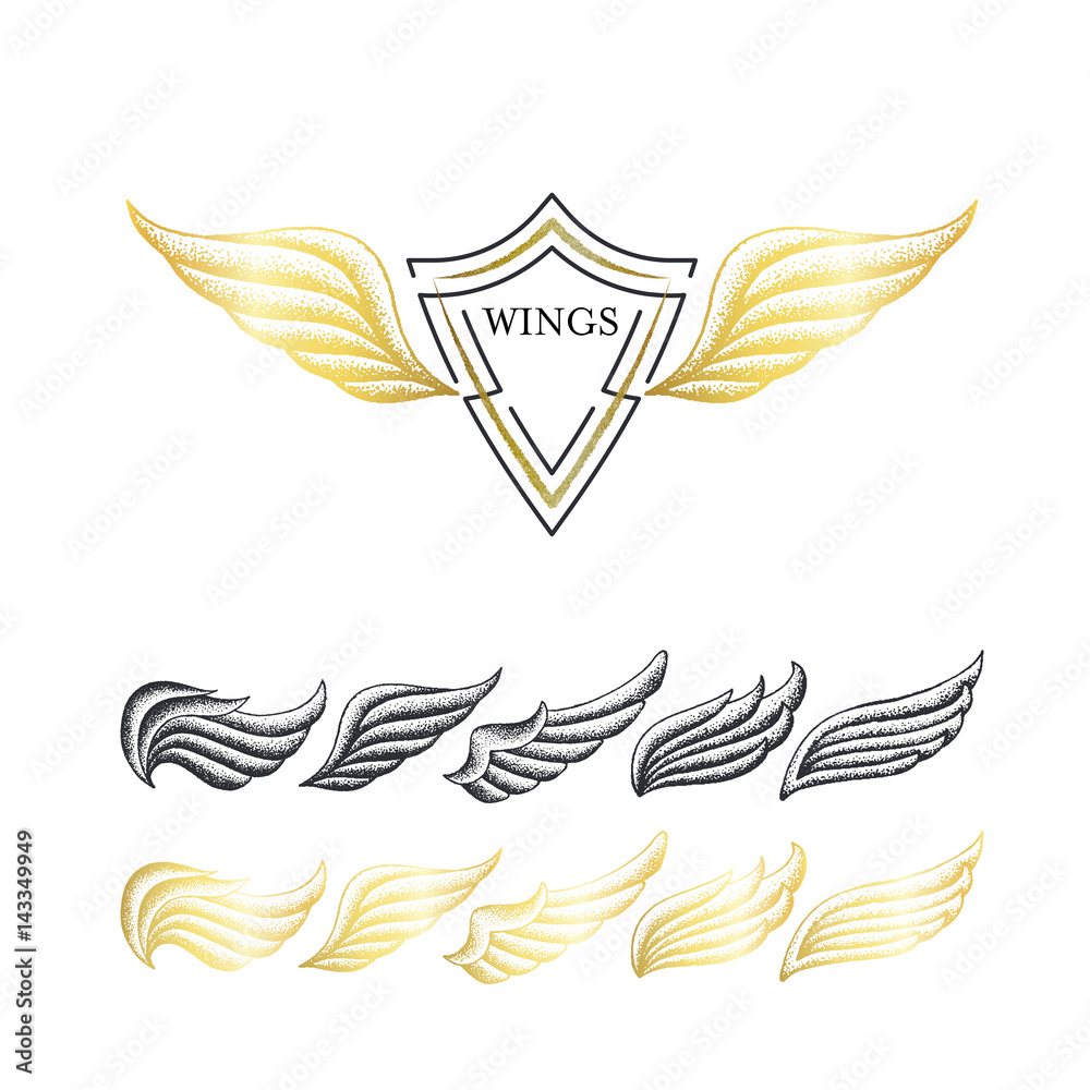 Stippling wings' set. Stippling wings' set.