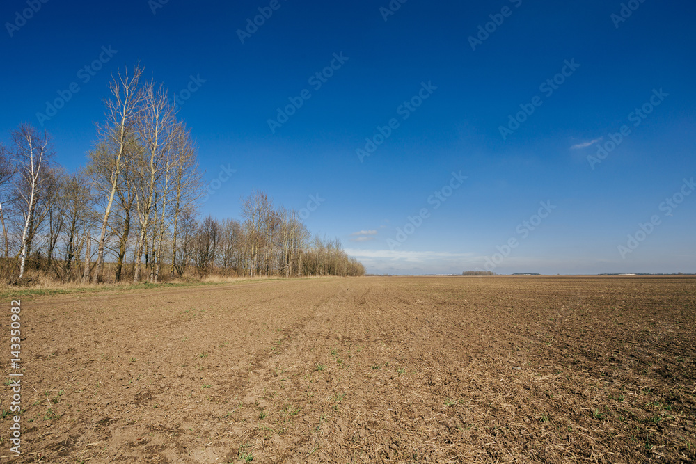 Ploughed field in spring prepared for sowing Ploughed field in spring prepared for sowing