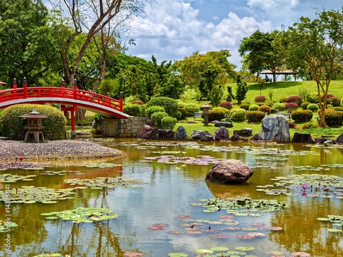 Fototapeta Naklejka Na Ścianę i Meble -  Japanese Garden with lake water lily and women silhouette on background