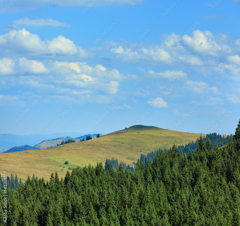 Obraz premium Summer Carpathian Mountains.