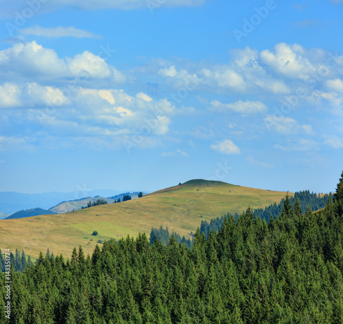 Summer Carpathian Mountains. © wildman