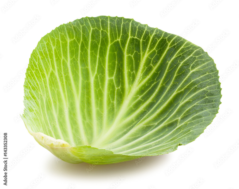 cabbage leaf