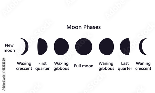 Moon phases on white background text