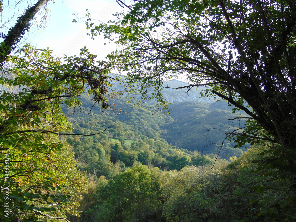 Obraz premium otoño