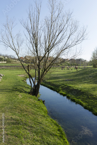 Small spring in a green field