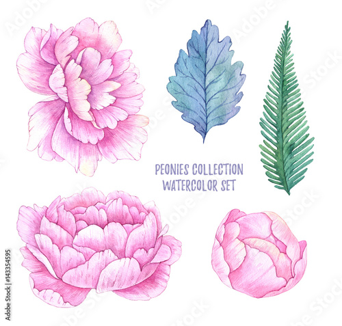 Hand drawn watercolor illustrations. Spring leaves and peonies flowers. Save the date. Perfect for wedding invitations, greeting cards, blogs, posters and more