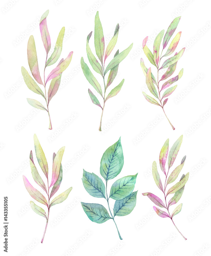 Hand drawn watercolor illustrations. Spring leaves and branches. Floral Design elements. Perfect for wedding invitations, greeting cards, blogs, posters and more