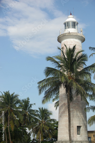 Leuchtturm und Palme in Galle, Sri Lanka