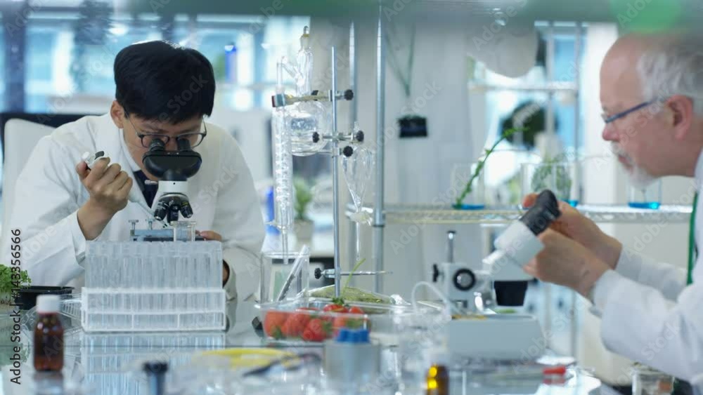 Food science research team working together in laboratory. Food science research team working together in laboratory.