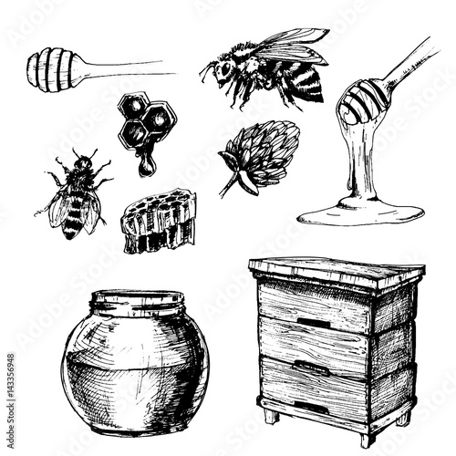 Hand drawn honey set