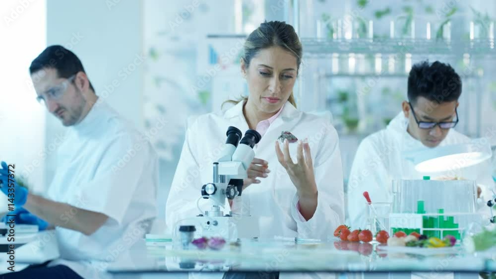 Research scientists analyzing foods in laboratory & discussing work Research scientists analyzing foods in laboratory & discussing work