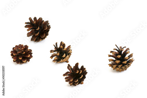 Five pine cone