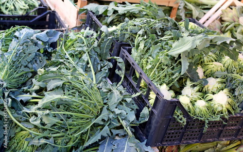 Genuine original green broccoli called BROCCOLO FIOLARO  in Ital photo