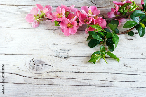 Fototapeta Naklejka Na Ścianę i Meble -  fiori di primavera su vecchio tavolo