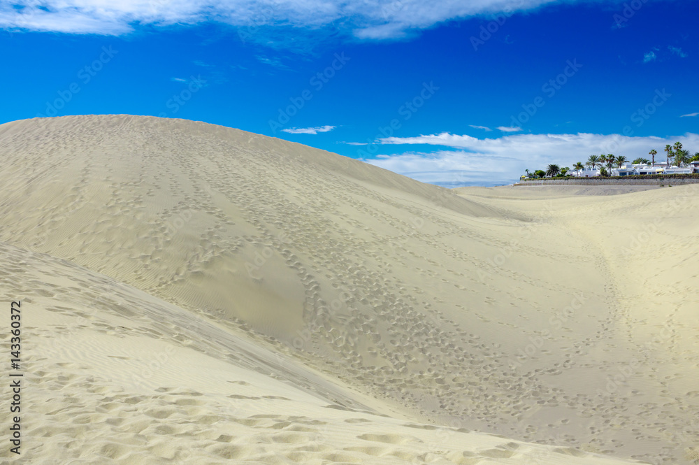 Dunes of Maspalomas with hotels on the background