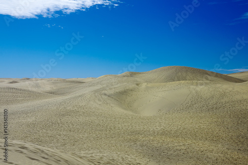Dunes of Maspalomas.Gran Canaria © arkady_z