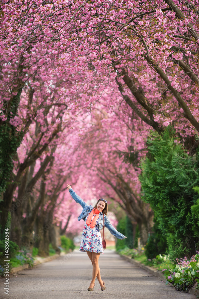 Young woman standing under a tunnel from japanese cherry trees at blossom Young woman standing under a tunnel from japanese cherry trees at blossom