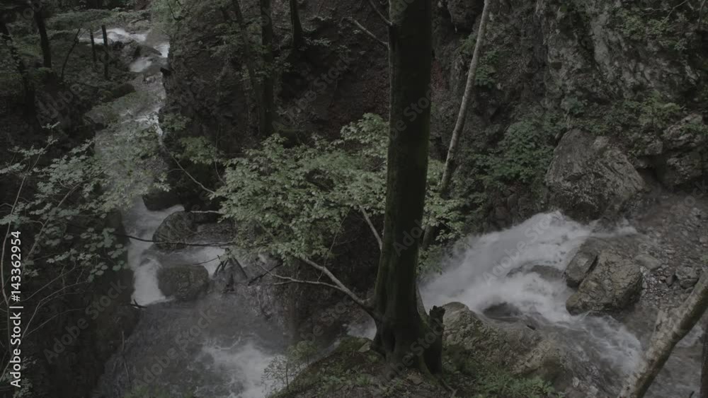 4K Prores - Stream flowing through a forest in the mountains - Tilt & Pan Shots 4K Prores - Stream flowing through a forest in the mountains - Tilt & Pan Shots