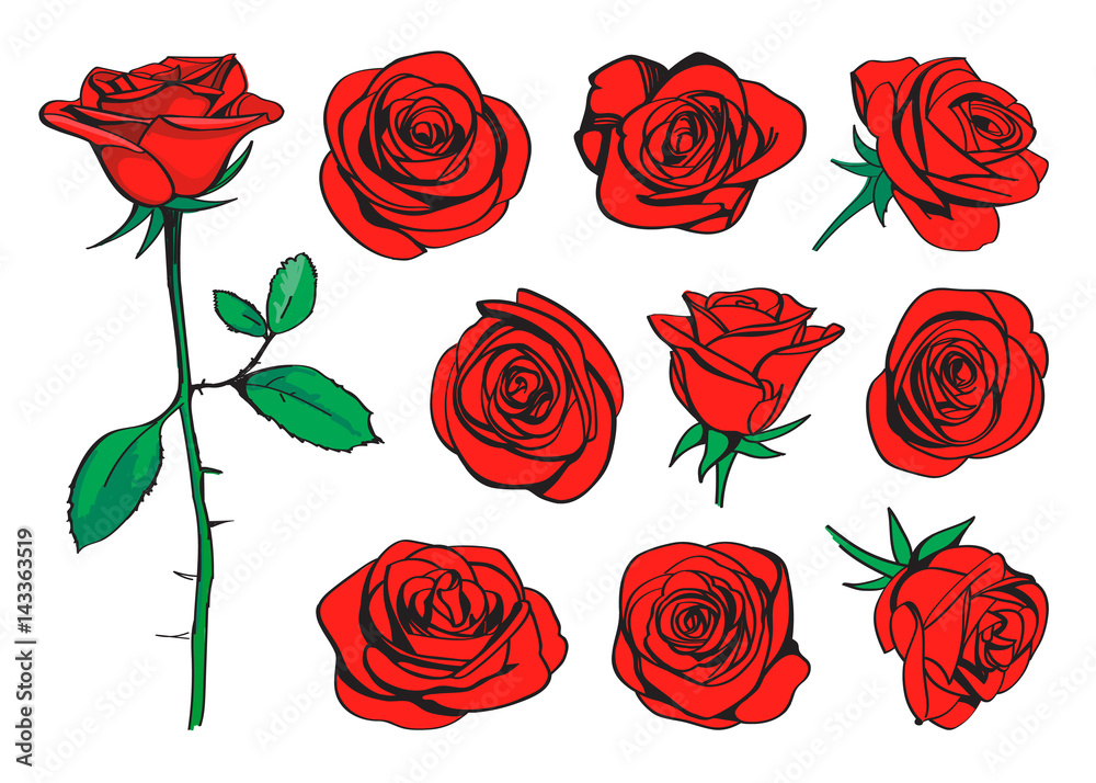 Red roses hand drawn color set. Black line rose flowers inflorescence silhouettes isolated on white background. Icon collection. Vector doodle illustration - obrazy, fototapety, plakaty 
